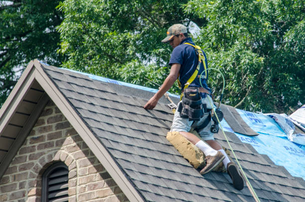 Best Commercial Roofing Services  in Brinkley, AR